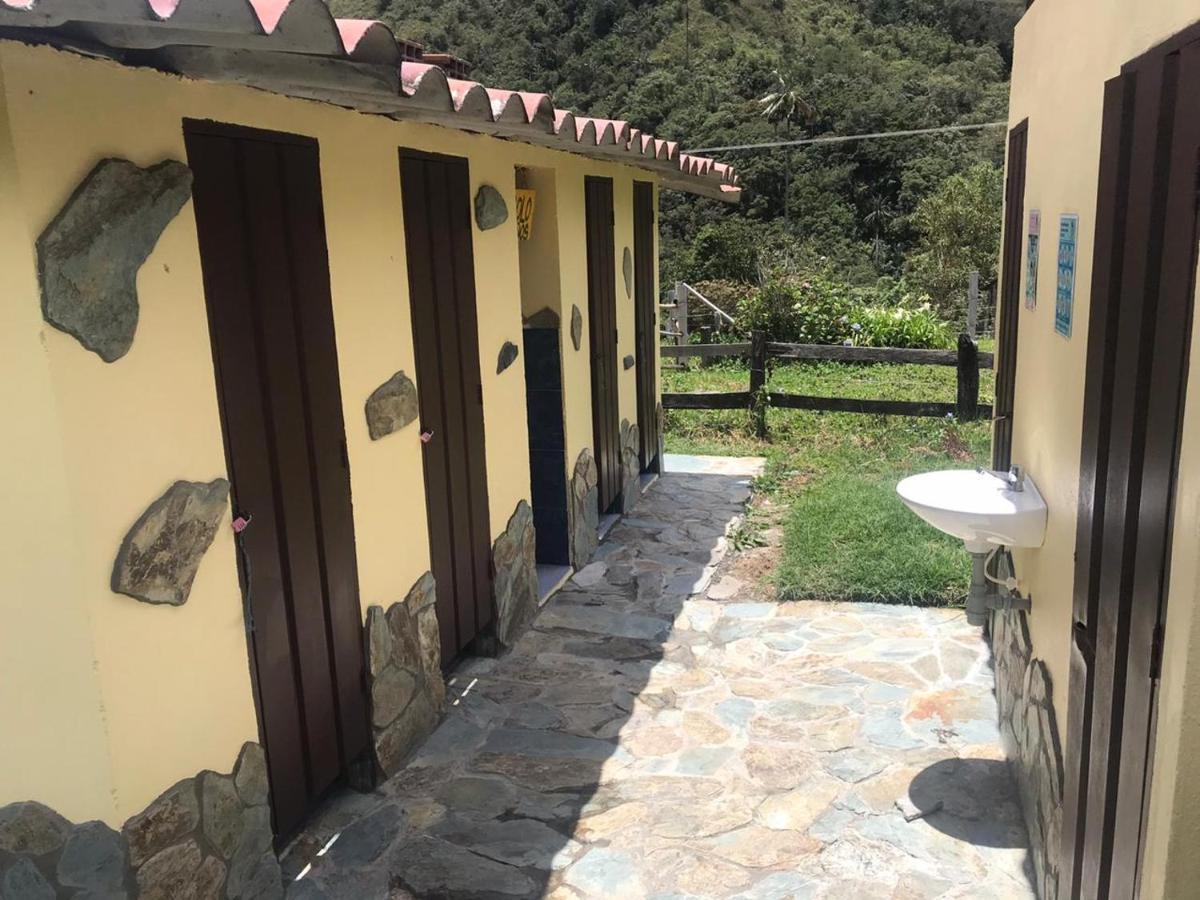 Refugio Nidos Del Condor Cocora Salento Exterior photo