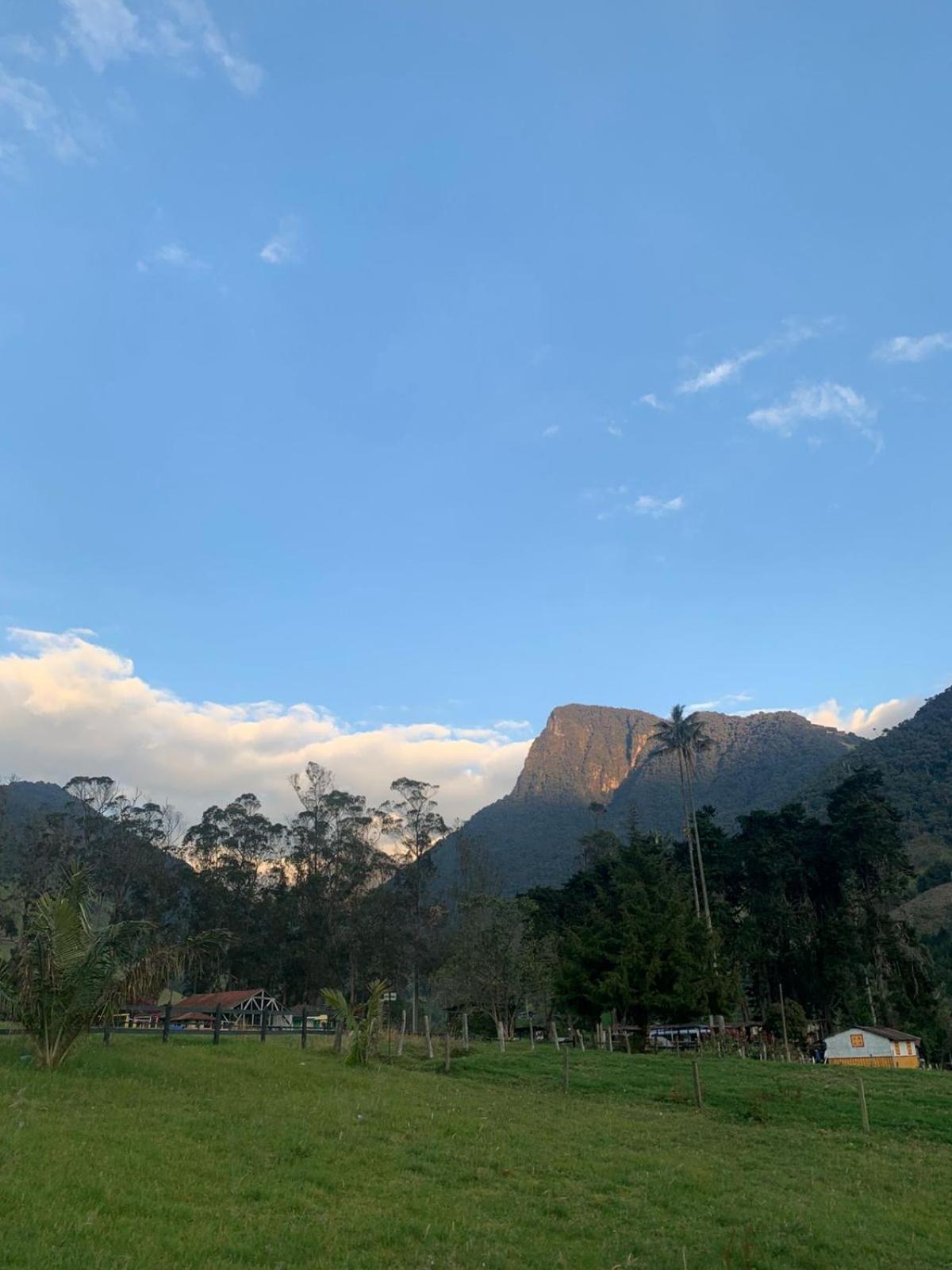 Refugio Nidos Del Condor Cocora Salento Exterior photo